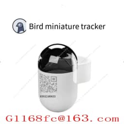 Real Time Global System Locator for Pigeon Outdoor Flight Leg Straps and Circular Positioning