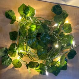 2/5/10M Watermelon Leaf String Light Leaf Wall Leaves for Room Garden Office Wedding Wall Decortion Battery Powered