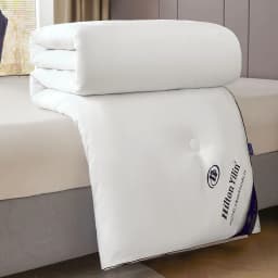 Hotel Style Comforter Queen King Lightweight Fluffy Comfortable and Breathable Soft Winter Quilt Very Warm 220x240 Quilts Blanke