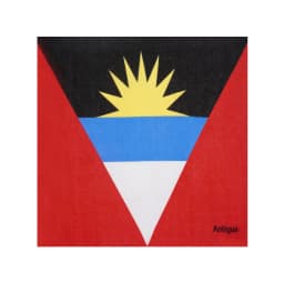 National Flag Pattern Bandana 100% Cotton Running Dancing Headband UK/ Korea/ Brazil/ Mexico/ Haiti Flag Scarf Hip Hop Headwrap