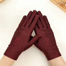 Spring and Summer Embroidered High-Elastic Spandex Gloves, Thickened Women's Dance Performance Gloves, Cycling Etiquette Gloves