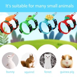 Adjustable Bunny Rabbit Harness and Leash Set Small Pet Cute Vest Harness Leash Ferret Harness Guinea Pig Harness Ferret
