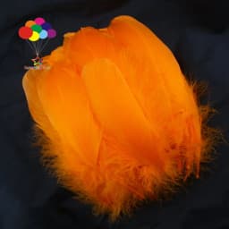 100PCS Soft Goose Feathers 5-7 Inch/13-18cm For Wedding Party Decoration Carnival Diy Facinator