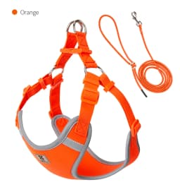 Cat Dog Harness Leash Set for Small Medium Dog Adjustable Pet Harness Reflective Breathable Outdoor Walking Pet Accessories