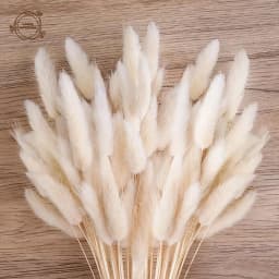 60pcs Dried Flowers Rabbit Bunny Tails Grass Mix Bouquets Wedding Party Decoration Natural Fluffy Lagurus Ovatus Boho Home Decor