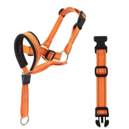 Traction Dog Mouth Cover Training with Nose Ring for Riot Control Adjustable Traction Rope Anti Bite Nose Hair Mask Pet Leash