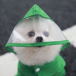 Waterproof Dog Clothes Small Dog Raincoat with Rain Shoes Boots Overalls Jumpsuit Pet Cat Puppy Rain Coat with Transparent Hood