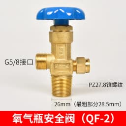WP-15 Small Argon Cylinder Valve Argon Cylinder Bottle Head Assembly Cylinder All Copper Valve Switch Safety