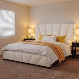 Queen Bed Frame with LED Lights & USB, Noise-Free, Grey | Adjustable Velvet Headboard,Under-Bed Storage,Heavy Duty, Customized