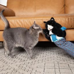 Cat Pet Toy Gloves Interactive Cat Wrestling Puppet Toys - Fun Play Gloves, for Cats Wrestle Play, Pet Supplies