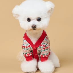 Dog Winter Sweater Knitted Warm Pet Clothes for Small Medium Dogs Chihuahua Puppy Pet Sweaters Yorkshire Cardigan Dog Coat Vest