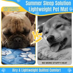 Extra Large Cooling Cat & Dog Bed, Bone Pattern Summer Ice Mat with Breathable Mesh, Durable Polyester Bedding for All Pet Sizes