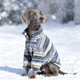 Turtleneck Dog Sweater for Medium Large Dogs, Thick Thermal Fleece Cold Weather Coats with Half Zipper Jumper Winter Pet Clothes