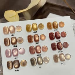 10ML 1-10PCS Winter New Style Hot Selling Black Nails Brown Nails Glass Bead Magnet Cat Eye Nail Polish Nail Set Nail Supplies