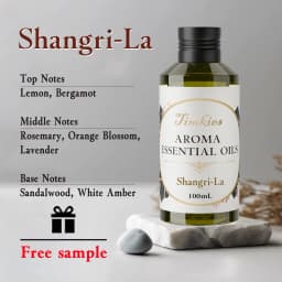 Aroma Diffuser Essential Oil Hotel Scent 100ML 200ML for Home Office SPA Car Fragrance Oil Perfume Oil Ritz Carlton Burj Al Arab