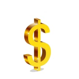 Link for Additional Payment of The Difference in Customization Fee Extra Fee