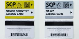 High Quantity Text Clear Letters Printed PVC SCP Hard Card Patches,top Hardboard,hardcard 8.5*5.5CM WF23461