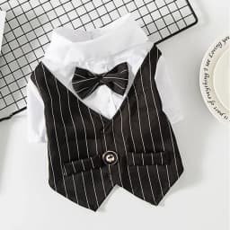 Classic Stripes Tuxedo for Small Dogs Cats Spring Autumn Pet Jacket with Bowknot Gentleman Dog Clothes Schnauzer French Bulldog