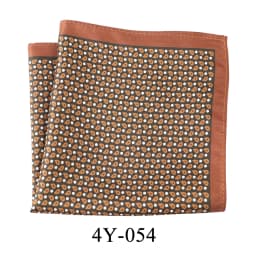 Tailor Smith Men's Classic Red Khaki Print Dot Handkerchiefs Paisley Floral Pockets Square Wedding Hankies Business Gift for Him