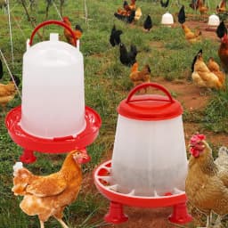 1Pc 1.5kg/3L Automatic Chicken Feeder Bucket Drinker Bucket With Leg Plastic Water Bucket for Duck Farm Chick Coop Water Supply