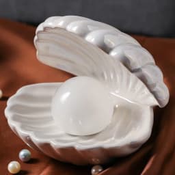Shell-Shaped Small Night Light, Dorm Gift for Birthday, for Female Friends or Besties, Bedroom Bedside Decoration Lamp