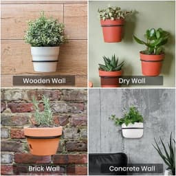 Wall Mounted Flowerpot Holder Metal Planter Hook Bonsai Hanging Basket Ring Planter Pot Stand Indoor Outdoor Gardening Decor