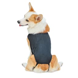 Pet Dog Back Protective Vest IVDD Intervertebral Disc Disease Recovery Brace Pet Back Pain Relief Support Harness Pet Supplies