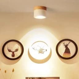5W 7W 9W 12W 15W Dimmable LED Downlight Led Surface Mounted Ceiling Downlight Nordic Spot Light for Indoor Foyer, Living Room