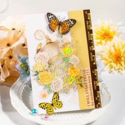 5 pcs Laser Bronzing birdcage PET Stickers aesthetic Decorative Scrapbooking Junk Journal Scrapbooking material