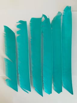 LW 50 Pcs Full Length (7-10 inch) Archery Fletches Natural Tureky Feathers Hunting Arrow Fletching for Bow DIY Accessories