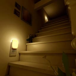 2pcs Plug-in Night Light with Light Sensor Technology, 4-Level Adjustable Brightness and Auto On/Off Function in the Dark