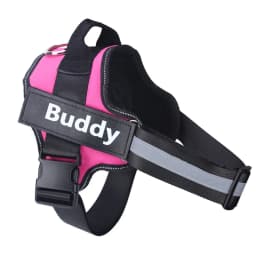 Customized Reflective Breathable Dog Harness Vest, Adjustable Pet Harness, ID Patch, No Pull, Outdoor