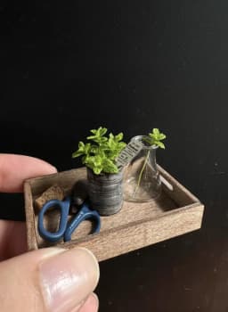 1:6 Miniature Plant Set, Handmade Realistic Fern Maple Caladium Potted,Exclusive Custom Sizes BJD Dollhouse Garden Bjd Decor Art