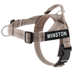 Personalized No Pull Dog Harness with Name Patch Escape-Proof Adjustable Reflective Soft Padded Dog Vest for Training Walking