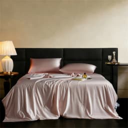 Grade A Mulberry Silk Blanket, 100% Pure Silk Filling and Shell Throw Blankets, Lightweight Soft Silk Comforter/Duvet/Quilt