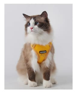 Escape Proof Cat Harness with Leash, Reflective Adjustable Mesh Vest for Cats and Kittens, Safe Outdoor Walking Training Harness