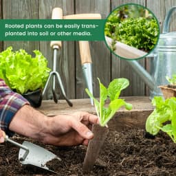 50/100Pcs Seed Grow Sponges Hydroponic Pods Kit with Plant Labels Replacement Root Garden Plant Nutrients Growing Planting