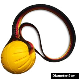 Training Pet Toy Dog Ball Bite Resistant EVA Foam Rubber Water Buoy Air Throwing Wearing Rope Elastic Ball Dogs Toys