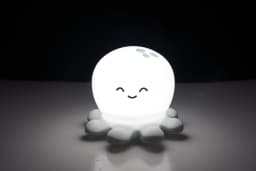 LED Night Light Cute Sheep Panda Rabbit Silicone Lamp Rechargeable Animal Shape Sleep Soft Nightlights For Kids Birthday Gift