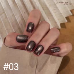 10ML 1-10PCS Winter New Style Hot Selling Black Nails Brown Nails Glass Bead Magnet Cat Eye Nail Polish Nail Set Nail Supplies