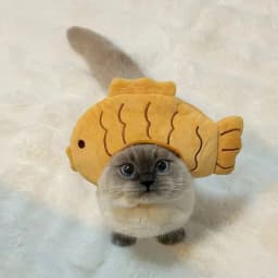 Cartoon Cat Hat Cute Fish Shape Pet Cat Costume Breathable Headdress Hat for Cat Pet Cats Headgear Pet Plush Fun Hat Toy for Cat