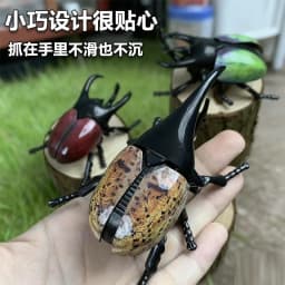 Clockwork beetle model simulation flower beetle movable joint insect winding crawling toy