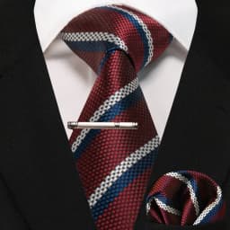 JEMYGINS Business Tie for Men Silk Navy Blue Tie Striped Paisley Necktie Handkerchief Tie Clips Set for Wedding Party Gift