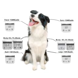 4F,5F,7FC,10#,30#,40# Professional Pet Dog Clipper Blade For Most Andis,Oster A5,Wahl KM 10 Clippers Animals Hair Trimmers