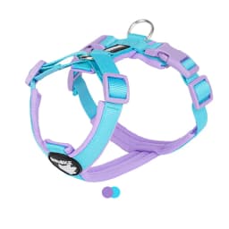 Dog Harness for Small Medium Large Dogs No Pull Breathable Adjustable Pet Chest Strap Outdoor Dog Supplies Puppy Vest Harness