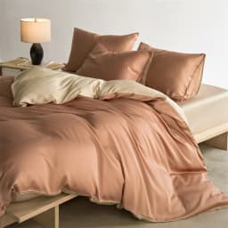 22mm Mulberry Silk Bedding Set Luxury Smooth Duvet Cover Set with Quilt Cover Bed Sheet Pillowcase for Twin Full King Queen Bed