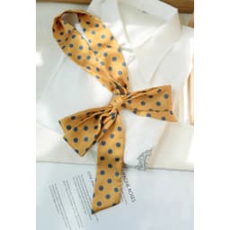 2025 New Spring Polka Dot Long Scarf Preppy Chic Polyester Red Butterfly Narrow Ribbon Bowknot Bag Accessories 180cm Cravat Gift