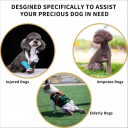 Adjustable Universal Dog Lift Harness Sling, Walking Mobility Carrier Belt for Old Elderly Dog Injured Front & Rear Leg Support