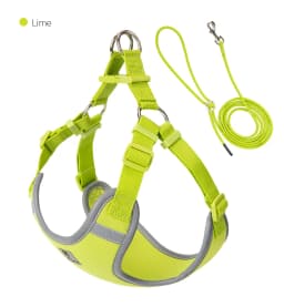 Cat Dog Harness Leash Set for Small Medium Dog Adjustable Pet Harness Reflective Breathable Outdoor Walking Pet Accessories