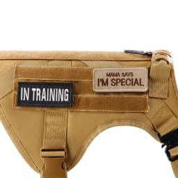 1 Piece Tactical Patch Bundle For Dog Vest Harness Collar Personalized Patches Tags Sticker Label Custom Name ID Service Dog